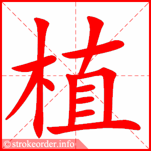 植