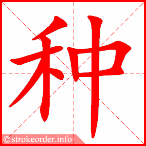 种