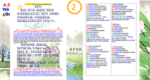 Abrir PDF