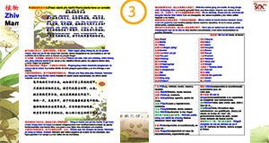 Abrir PDF