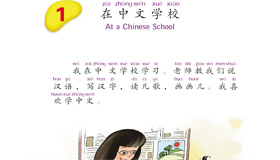 Abrir PDF