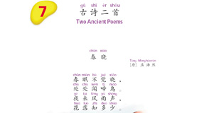 Abrir PDF