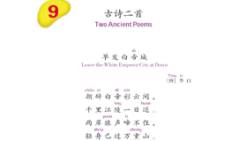 Abrir PDF
