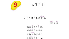 Abrir PDF