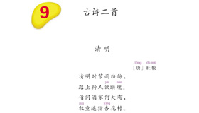 Abrir PDF