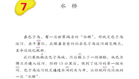 Abrir PDF