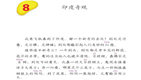Abrir PDF